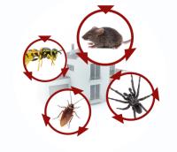 Pest Control Adelaide image 3
